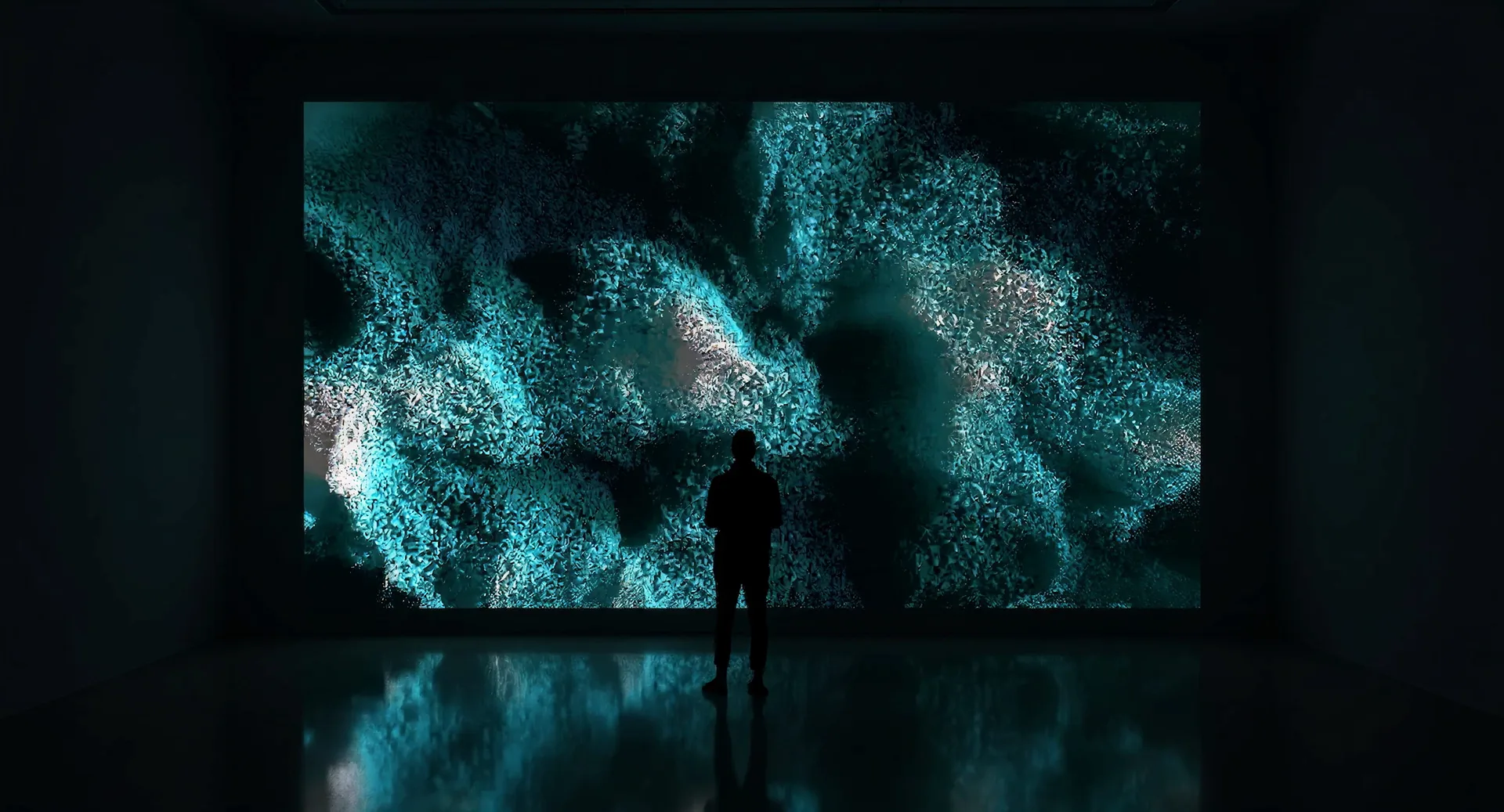 Installation concept using a single, large projection